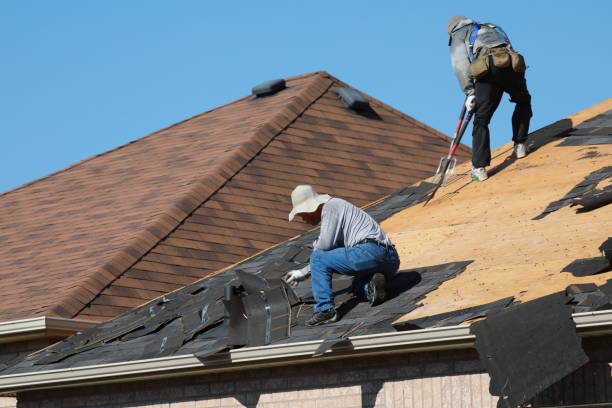 Best Roof Leak Repair  in Rochelle, IL